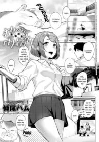 neko-nochi-amayadori