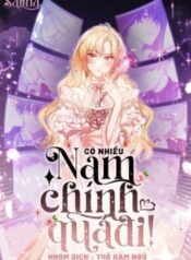 co-nhieu-nam-chinh-qua-di-lzsp