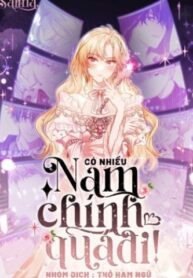 co-nhieu-nam-chinh-qua-di-lzsp