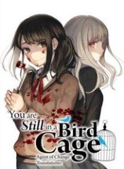 you-are-still-in-a-bird-cage-yzmp