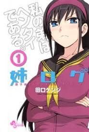 ane-log-moyako-neesan-no-tomaranai-monologue