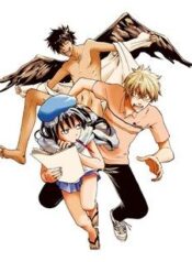 baka-ga-zenra-de-yattekuru