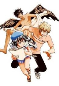 baka-ga-zenra-de-yattekuru