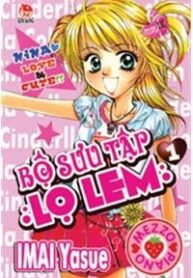 bo-suu-tap-lo-lem