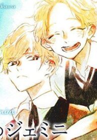 boku-no-gemini