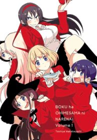 boku-wa-ohime-sama-ni-narenai