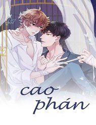 cao-phan