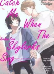 catch-me-when-the-skylarks-sing