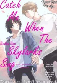 catch-me-when-the-skylarks-sing