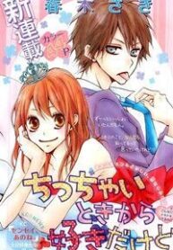 chicchai-toki-kara-suki-dakedo