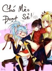 cho-meo-doat-se