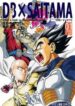 dragon-ball-z-onepunch-man