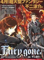 fairy-gone
