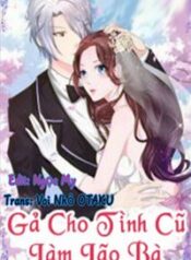 ga-cho-tinh-cu-lam-lao-ba