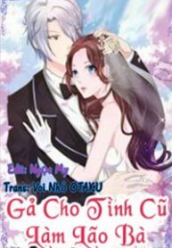 ga-cho-tinh-cu-lam-lao-ba