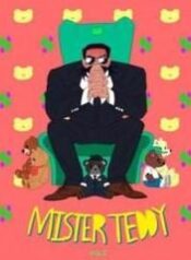 hello-mister-teddy