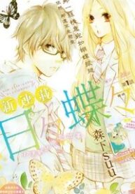 hibi-chouchou