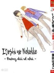 itoshi-no-nekokke-duong-dai-ve-nha