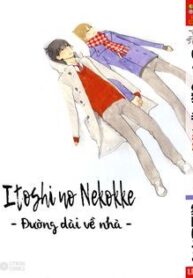 itoshi-no-nekokke-duong-dai-ve-nha