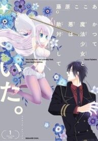 katsute-mahou-shoujo-to-aku-wa-tekitai-s-8523