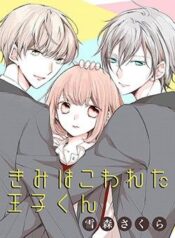 kimi-wa-kowareta-ouji-kun