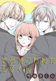 kimi-wa-kowareta-ouji-kun