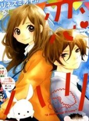 koisuru-harinezumi