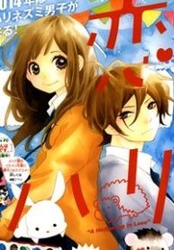 koisuru-harinezumi