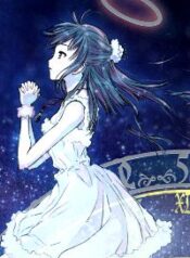 magi-no-okurimono