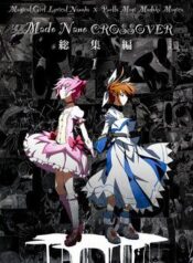 mahou-shoujo-lyrical-nanoha-x-madoka-cro-6108