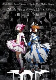 mahou-shoujo-lyrical-nanoha-x-madoka-cro-6108