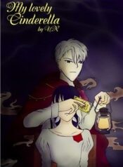 my-lovely-cinderella
