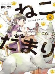 nekodamari