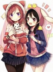 nico-maki-wa-petto