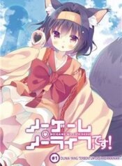no-game-no-life-desu