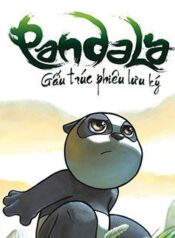 pandala-gau-truc-phieu-luu-ky