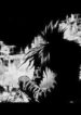 quyen-so-thien-menh-fake-ending-1
