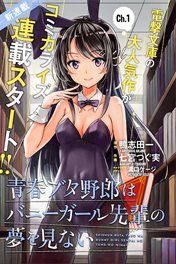 seishun-buta-yarou-wa-bunny-girl-senpai-4289