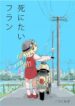 shinitai-flan-1