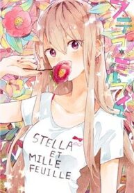 stella-to-mille-feuille