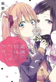 takane-no-hana-wa-usotsuki-desu-1