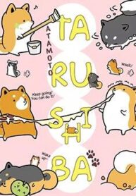 taru-shiba