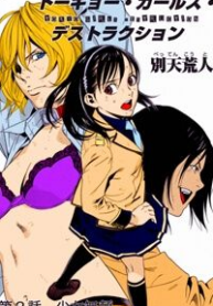 tokyo-girl-destruction