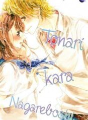 tonari-kara-nagareboshi