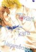 tonari-kara-nagareboshi