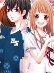 tsubasa-to-hotaru