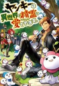 yankee-wa-isekai-de-seirei-ni-aisaremasu-415-1